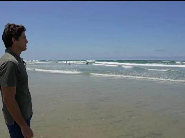 ‘I tussled with the animal': Survivor describes Del Mar shark attack