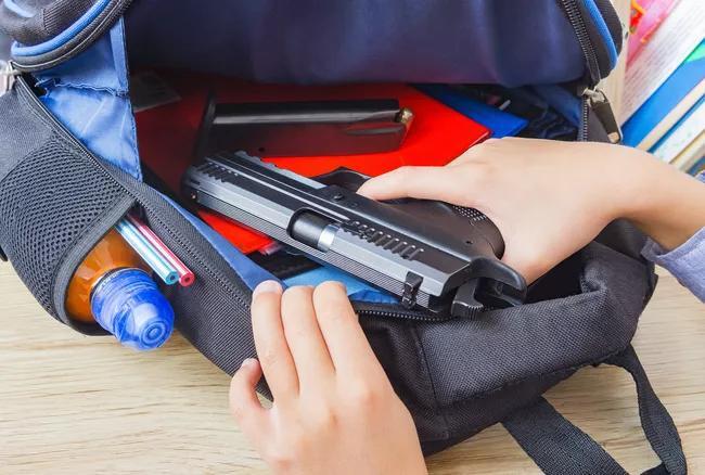 4 Students Arrested After Guns Found at Hillsborough School - NewsBreak
