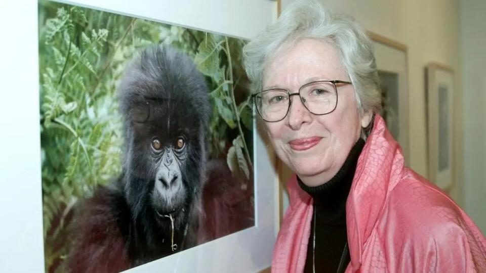 Polly Holliday Net Worth 2025 How Much Money Did She Make? NewsBreak