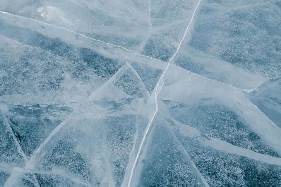 13 Things Ice Age Hunters Could Track by Sound - NewsBreak