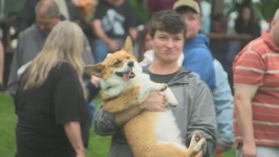 Annual Corgi Race steps off at local firehouse