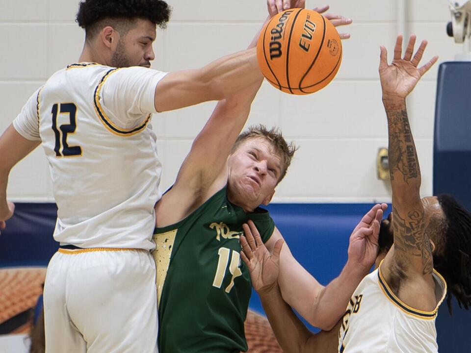 Montana State Billings Men S Basketball Schedule