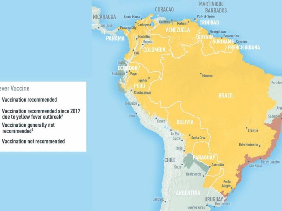Yellow Fever Vaccine Candidate Showed Optimal Viremia, Safety, and