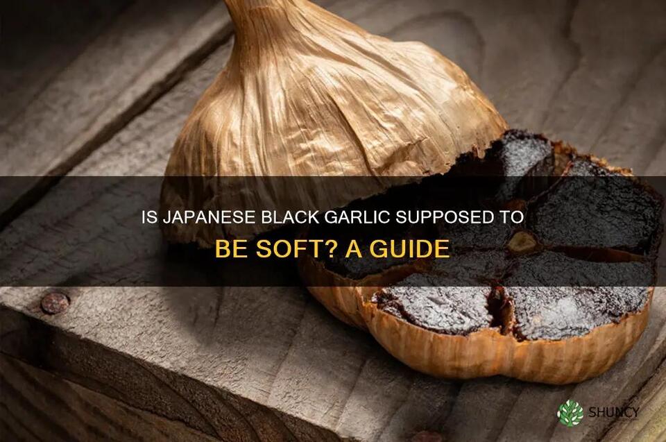 Is Japanese Black Garlic Supposed To Be Soft? A Guide - NewsBreak