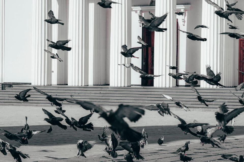12 Classic Museum Displays That No Longer Exist Anywhere - NewsBreak