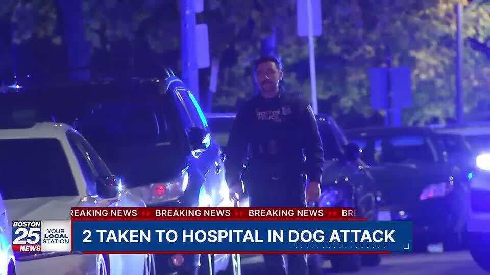 Police: Officer shoots dog who attacked, hospitalized two people in ...