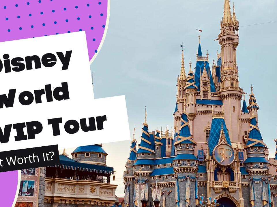 Disney World VIP Tour 2022 Is It Worth It? Our Paradise Falls