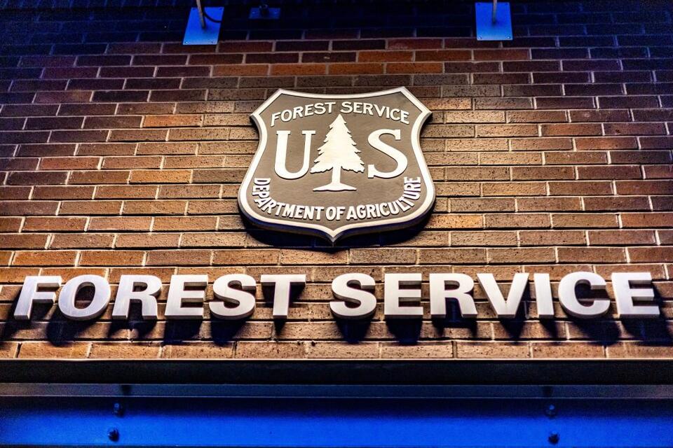 Judge halts U.S. Forest Service reorganization, ruling that it is ...