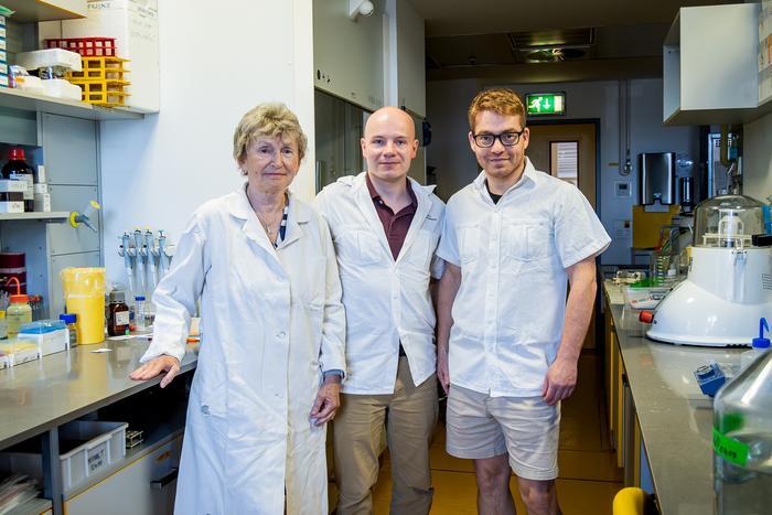 A study in Nature sheds new light on DNA repair in early human embryos, with implications for future gene correction