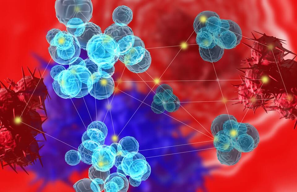 IMS 2026: Key Updates Across The Multiple Myeloma Paradigm - NewsBreak