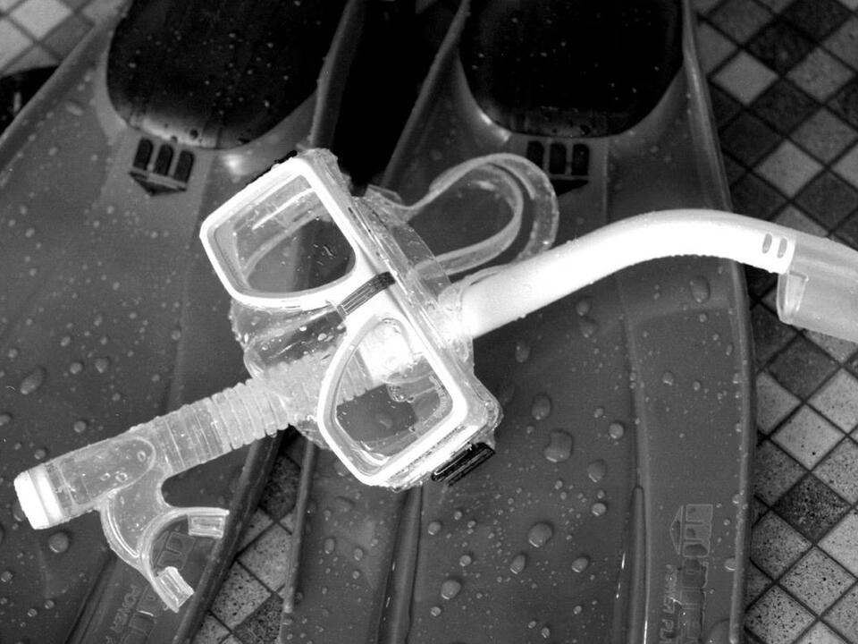 Michigan woman’s remains found inside shark