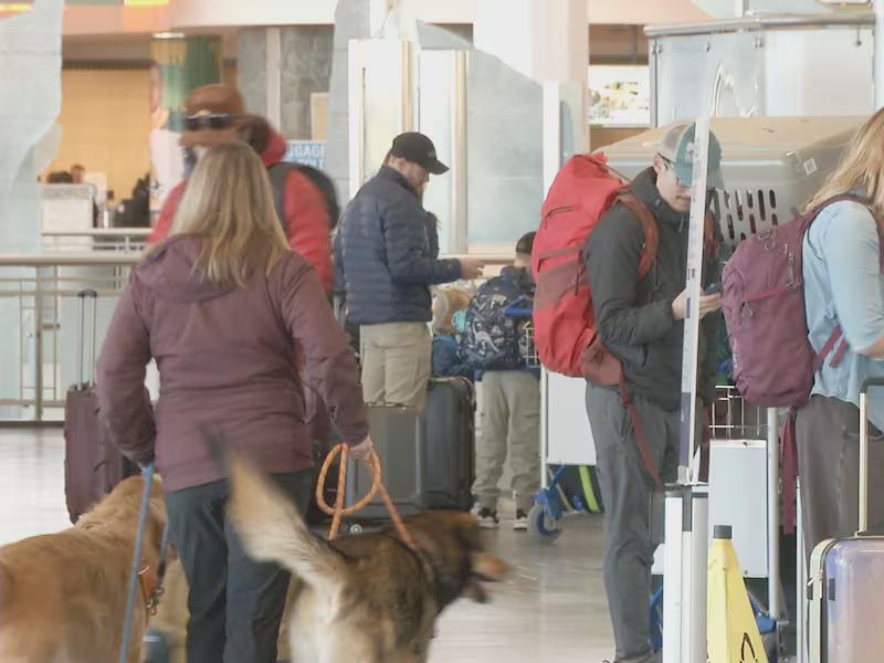 Alaska travelers encounter widespread flight cancellations; Alaska