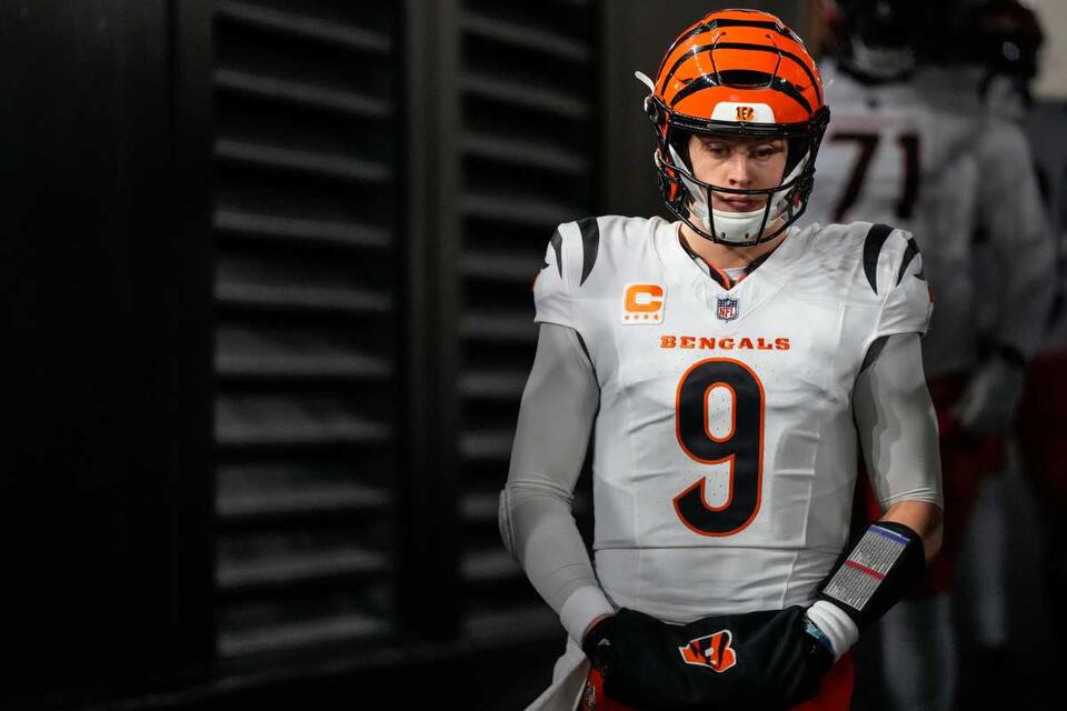 Bengals 7 round 2025 NFL Mock Draft to make sure they don't ever waste