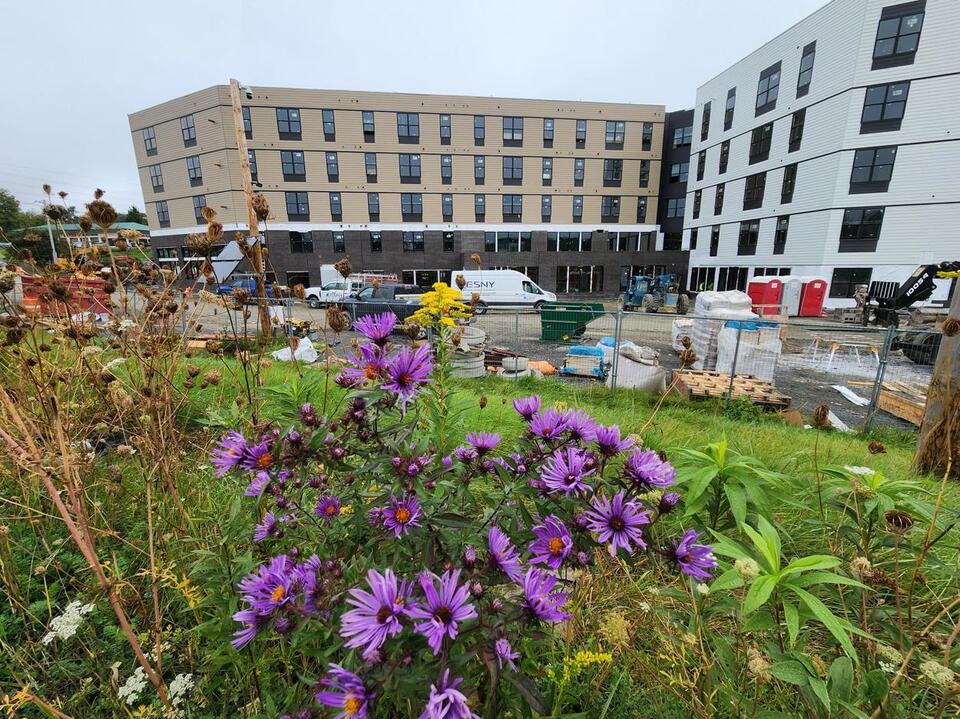 Future 516-Bed Vestal Student Housing Project Opens Virtual Leasing ...