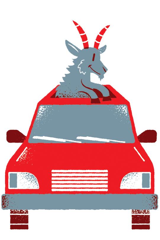Driving Friendly Is the Texas Way - NewsBreak