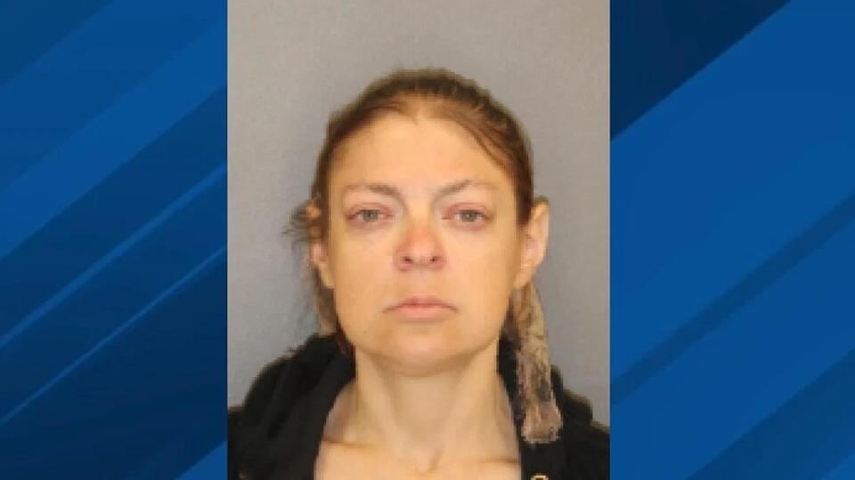 Woman faces multiple charges after camera alerts sheriff's office of ...