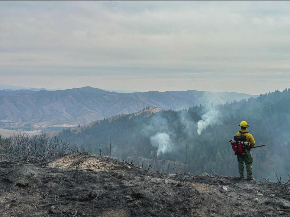 Final Valley Fire update