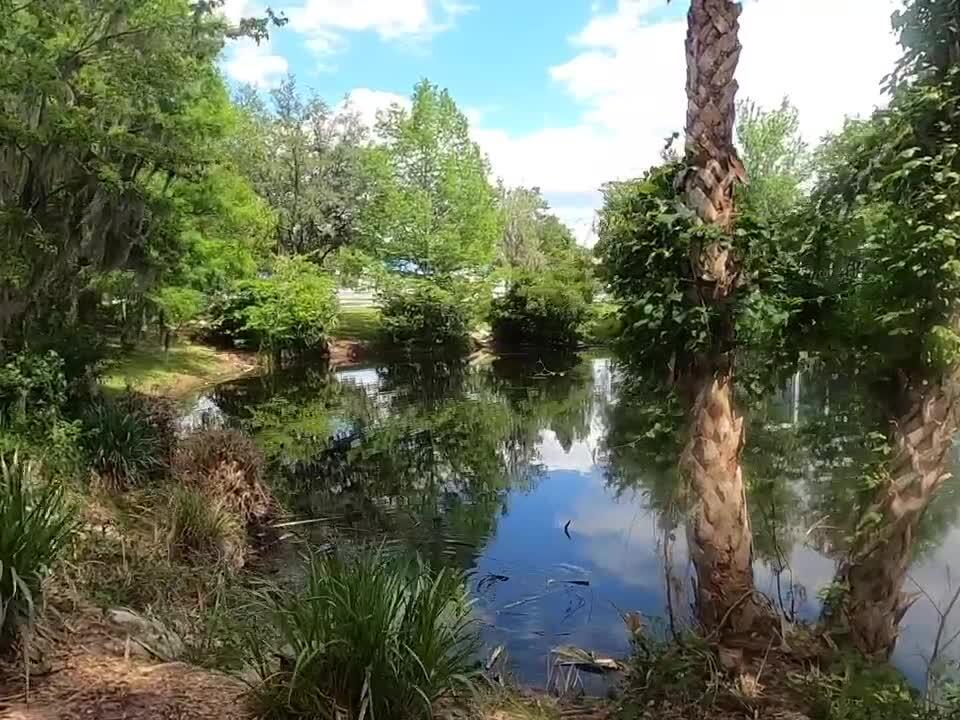 A Cheap and Incredible Animal Experience at Santa Fe College Teaching