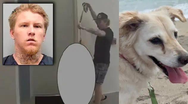 Florida Man Sentenced To Maximum Prison Term For 2024 Brutal Dog ...