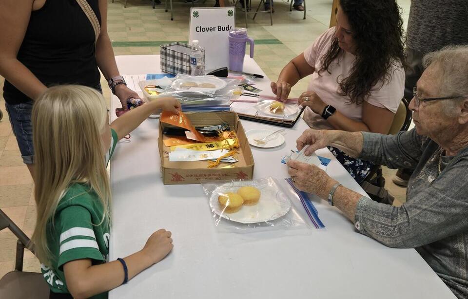 2026 4-H Achievement Days: Charles Mix County - NewsBreak