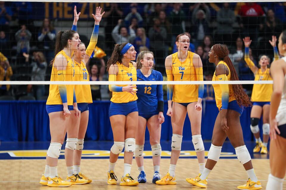 Pitt Volleyball Earns Highest Ever Preseason Ranking - NewsBreak