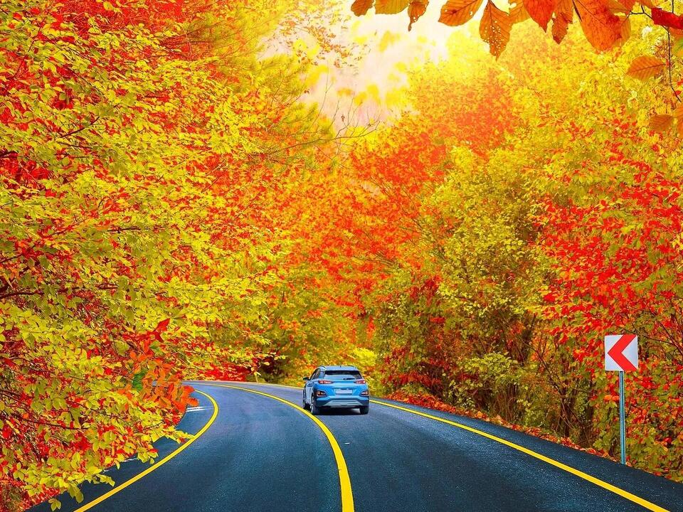 These are the most expensive cities to rent a car this fall