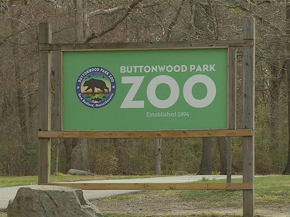Buttonwood Park Zoo to break ground on expansion of Animal Ambassador program