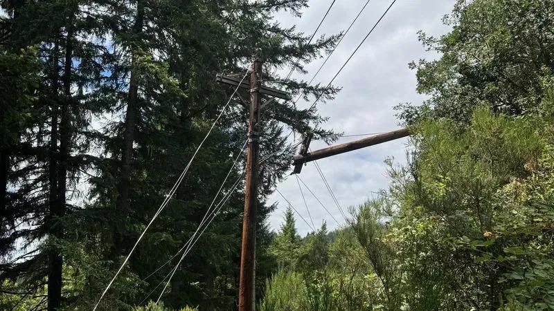 Douglas Electric: 503 without power north of Drain after tree hits line ...