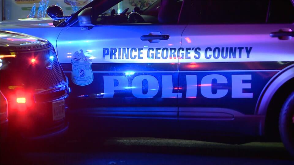 3 dogs attack 2 women, another dog in Prince George's County - NewsBreak