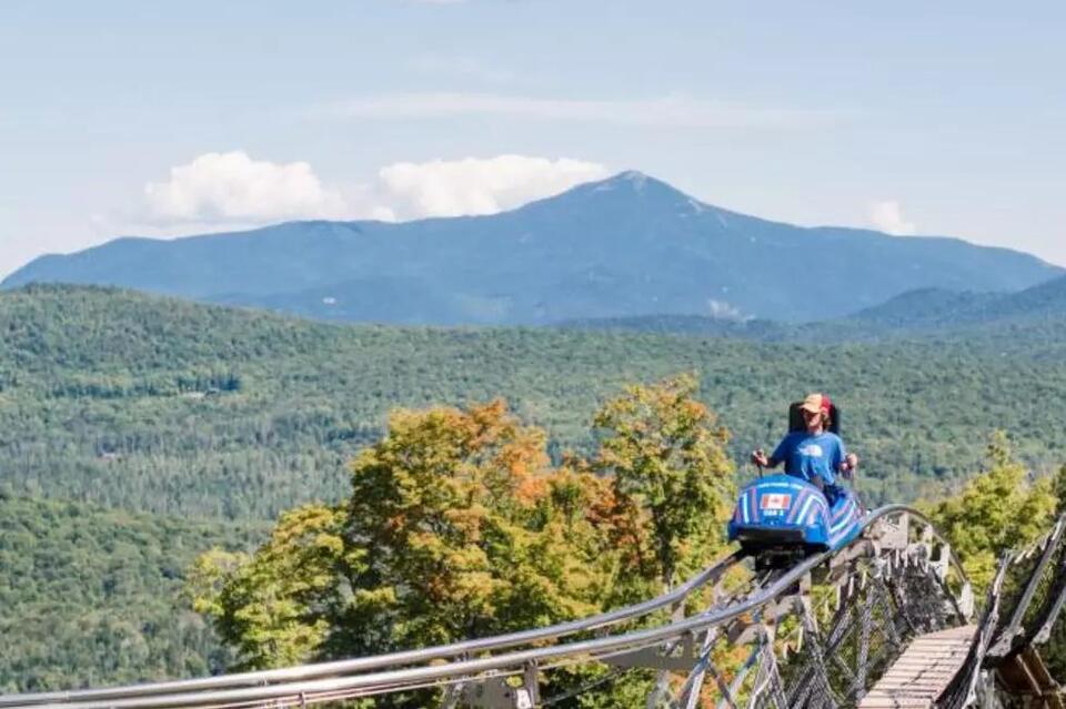 Where to Ride the Three Longest Mountain Coasters in America - NewsBreak