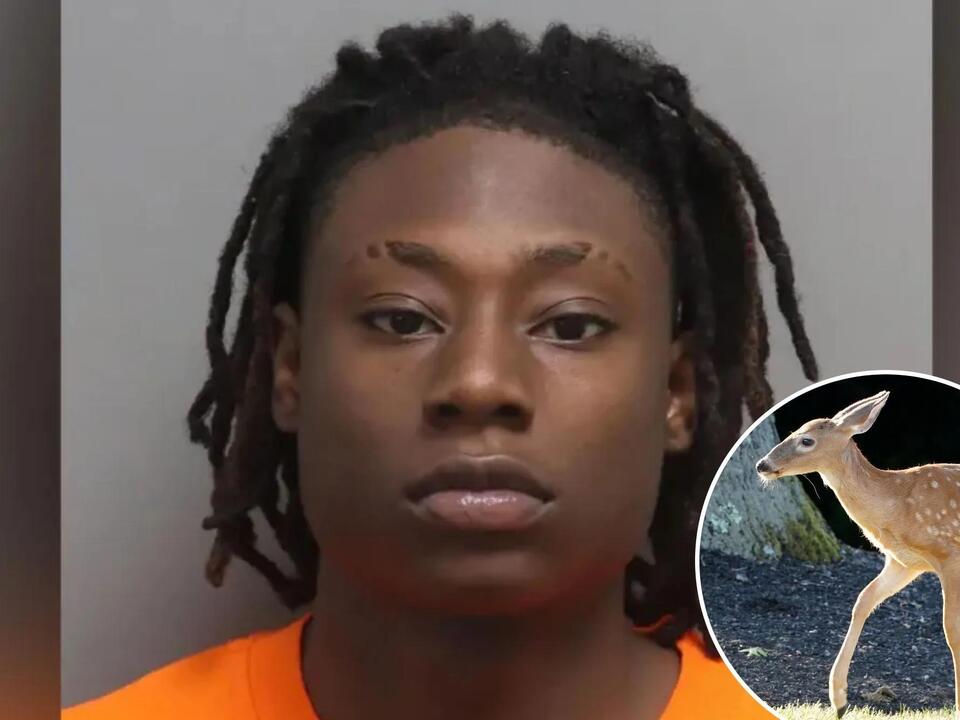 South Carolina hunter fatally shot woman he thought was a deer cops