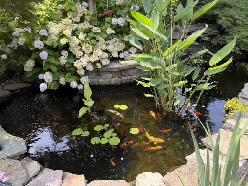 🔥 Little Gardens Club of Atlantic City 2026 garden tour