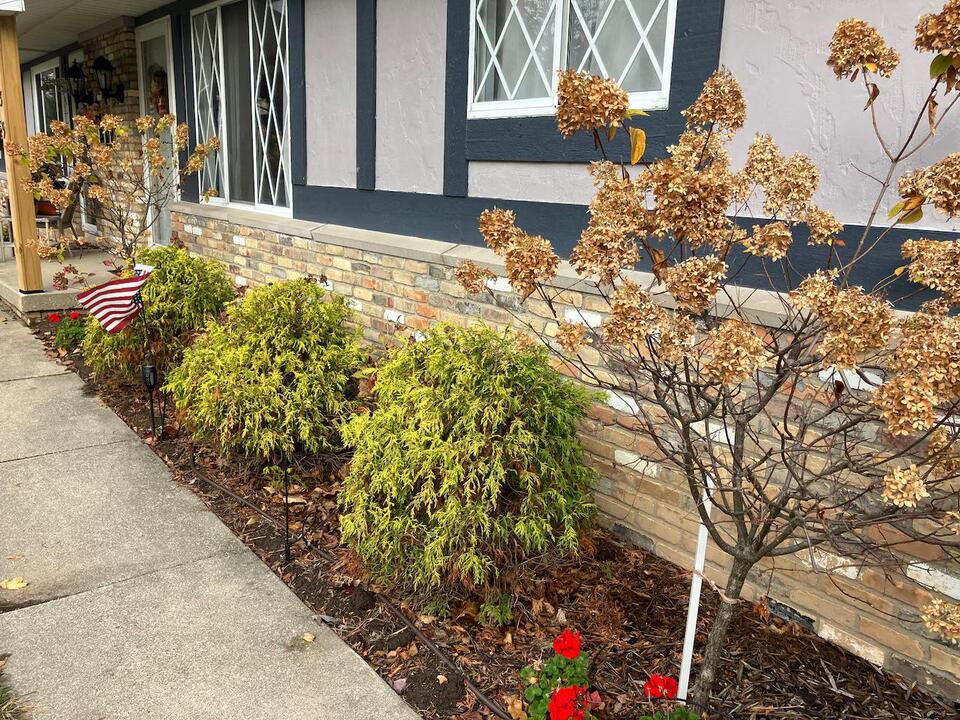 Is it too late to fertilize trees and shrubs?