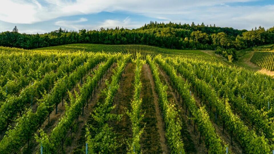 The IRS proposed rules letting farmland sellers pay the tax in four ...