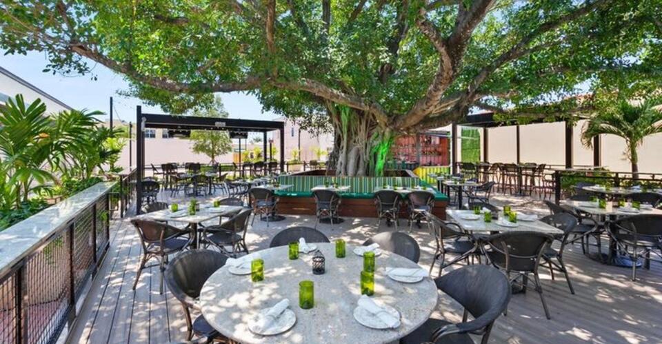 I Can’t Believe This Magical Treehouse Restaurant Is Actually in ...