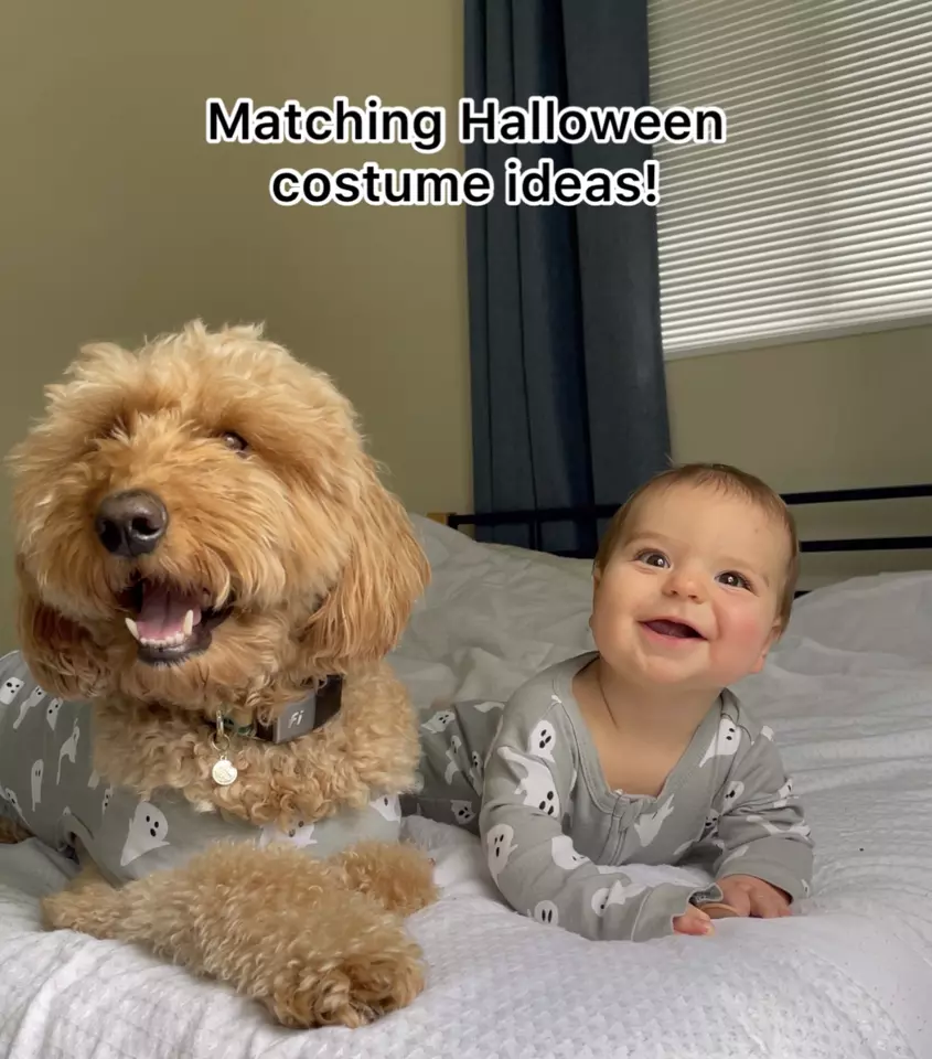 Baby and dog matching halloween outlet costumes