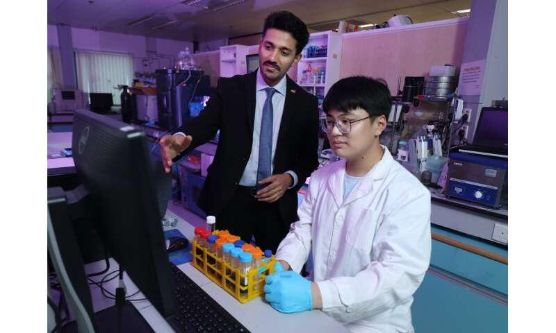 Transforming vibrations into clean fuels and chemicals through piezosynthesis