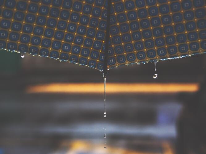 Port St. Lucie Daily Weather Forecast