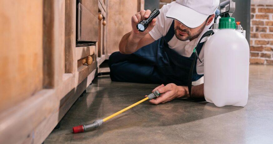 Aruza Pest Control acquires Charleston-based pest control company ...