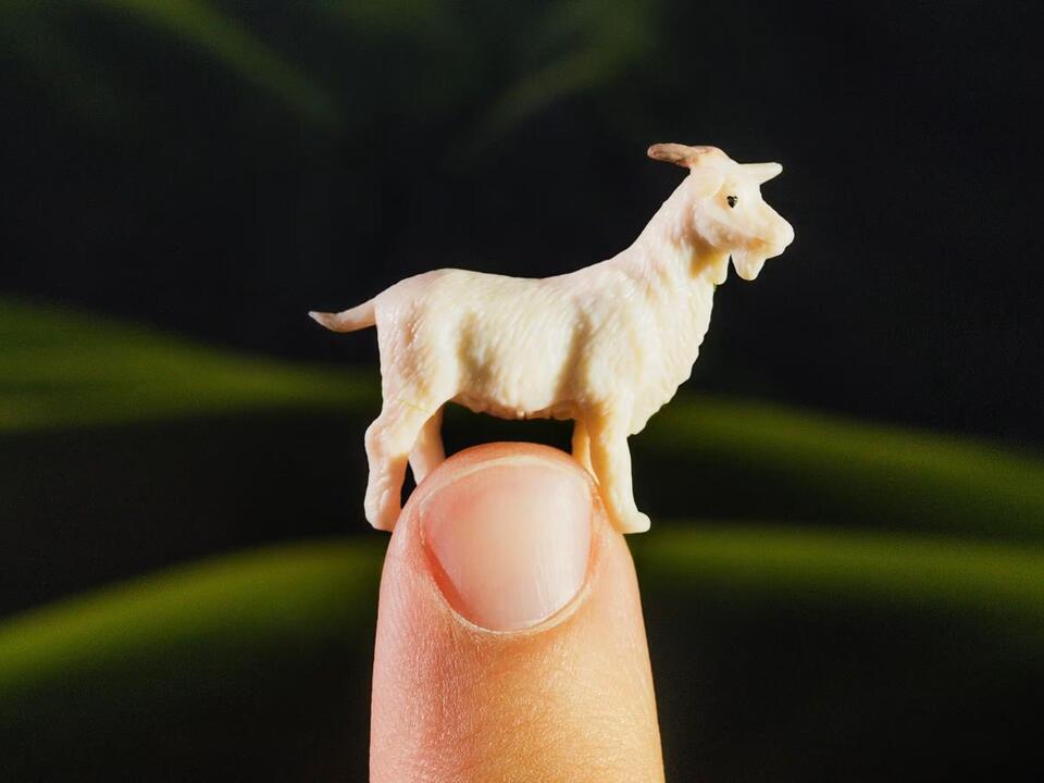 Capricorn season 2024 horoscopes How your sign will be affected