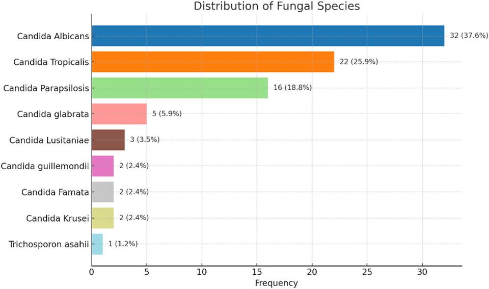 Machine learning prediction of mortality in pediatric fungemia using ...