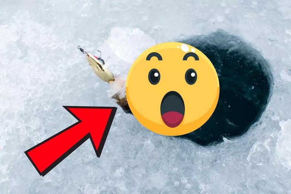 Ice Fishing Central New York Teen Catches “Unicorn” Fish in Lake Oneida ...