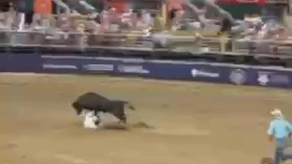 Performer sustains head injury after run over by bull during Days of ...