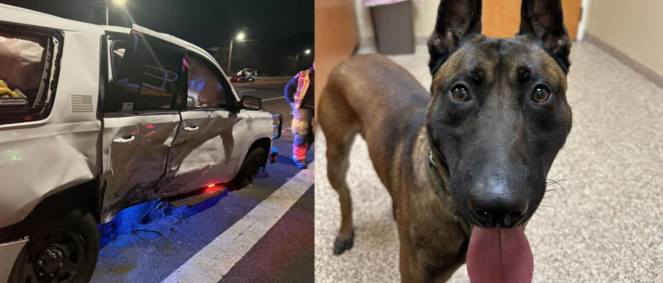 Santa Rosa County deputy and K9 involved in collision during emergency ...