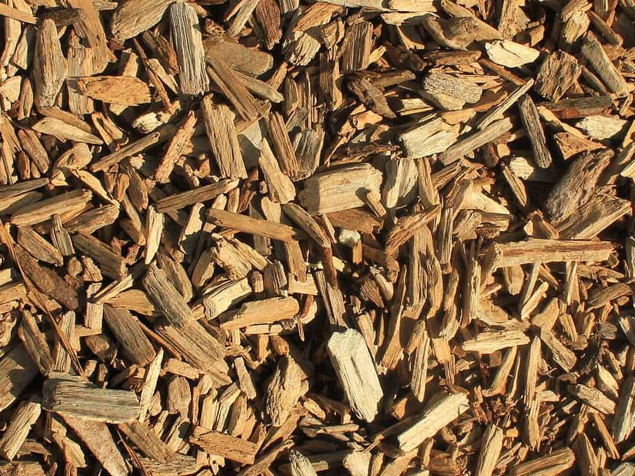 Mulch vs Wood Chips 5 Key Differences and Which Is Best for Your Yard?