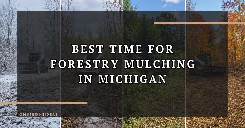 The Best Time of Year for Forestry Mulching in Michigan (Season-by-Season Guide)