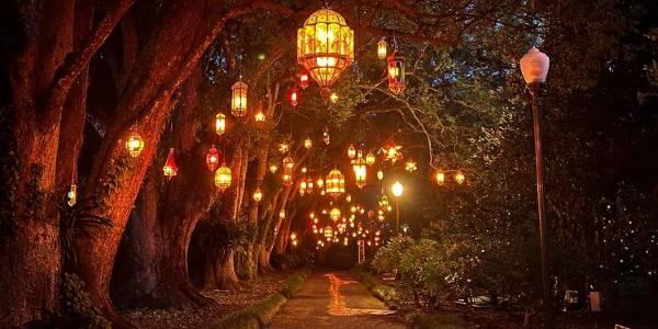 The Amazing “Dazzling Nights” Returns to Orlando’s Harry P. Leu Gardens For the Holidays Nov. 20, 2026 – Jan. 3, 2027