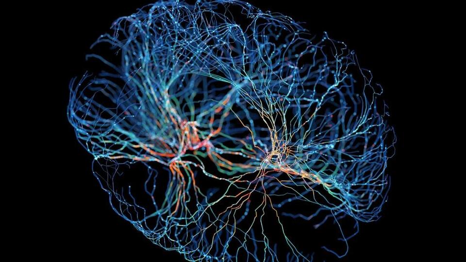 Chronic Tinnitus Isn't Just Ringing – It's Rewiring The Brain