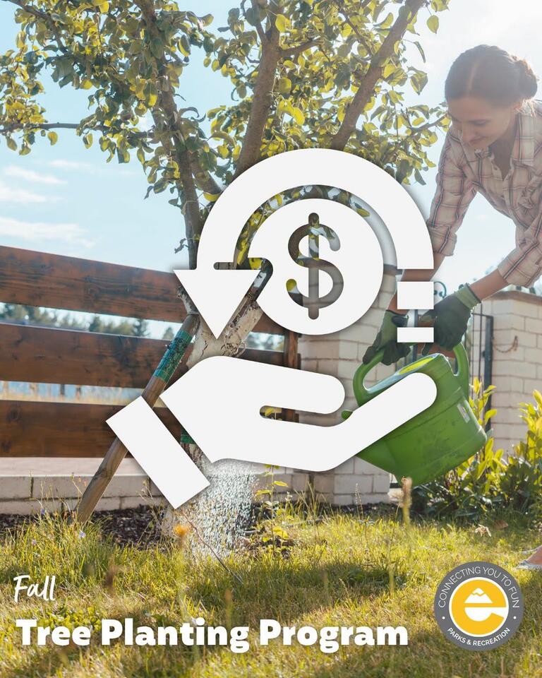 Erie offers rebates and cost share for tree planting - NewsBreak
