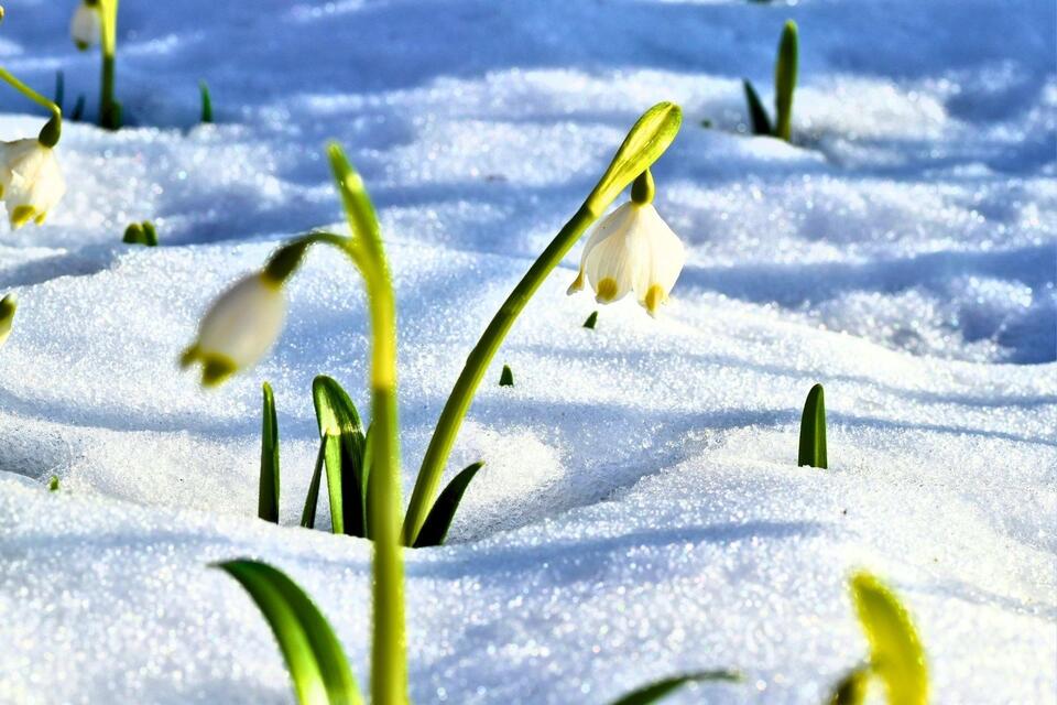 You Think April Snow Is Bad? Kentucky’s Seen It in MAY - NewsBreak